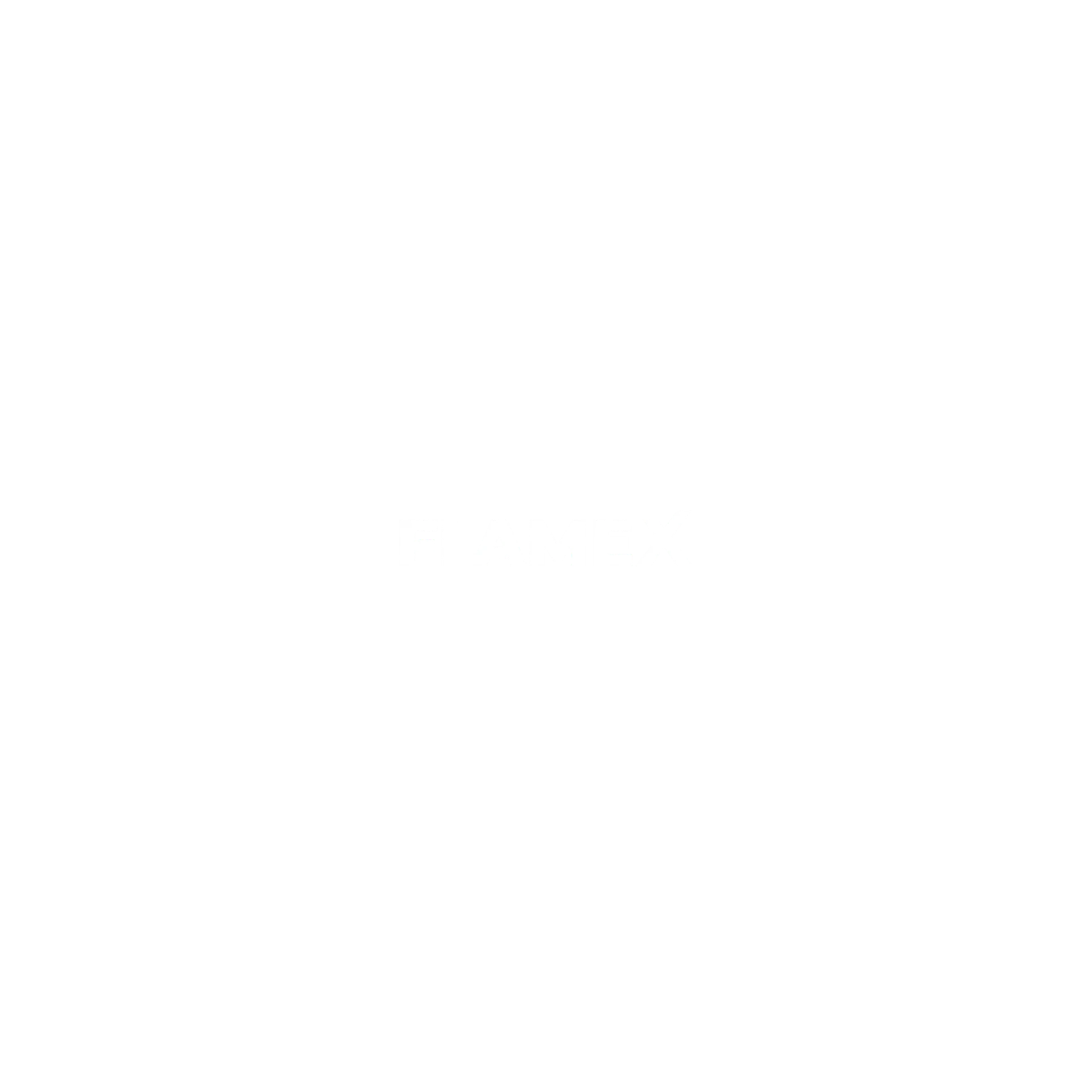 FlameX Intro